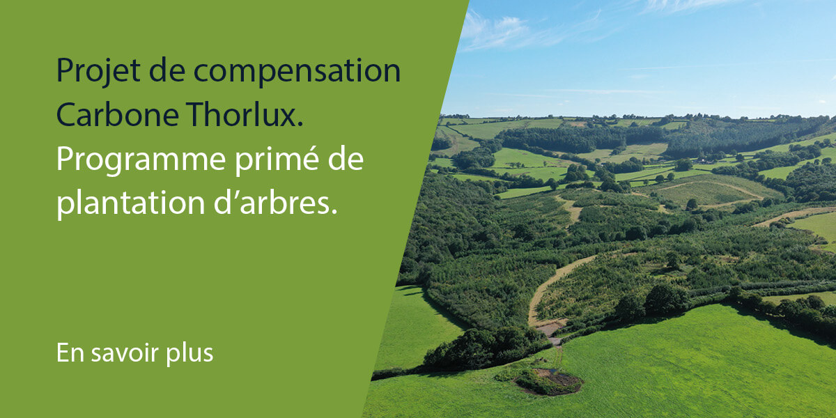 La compensation carbone